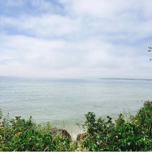 Meet your Posher, Matt - Picture 1 of 1